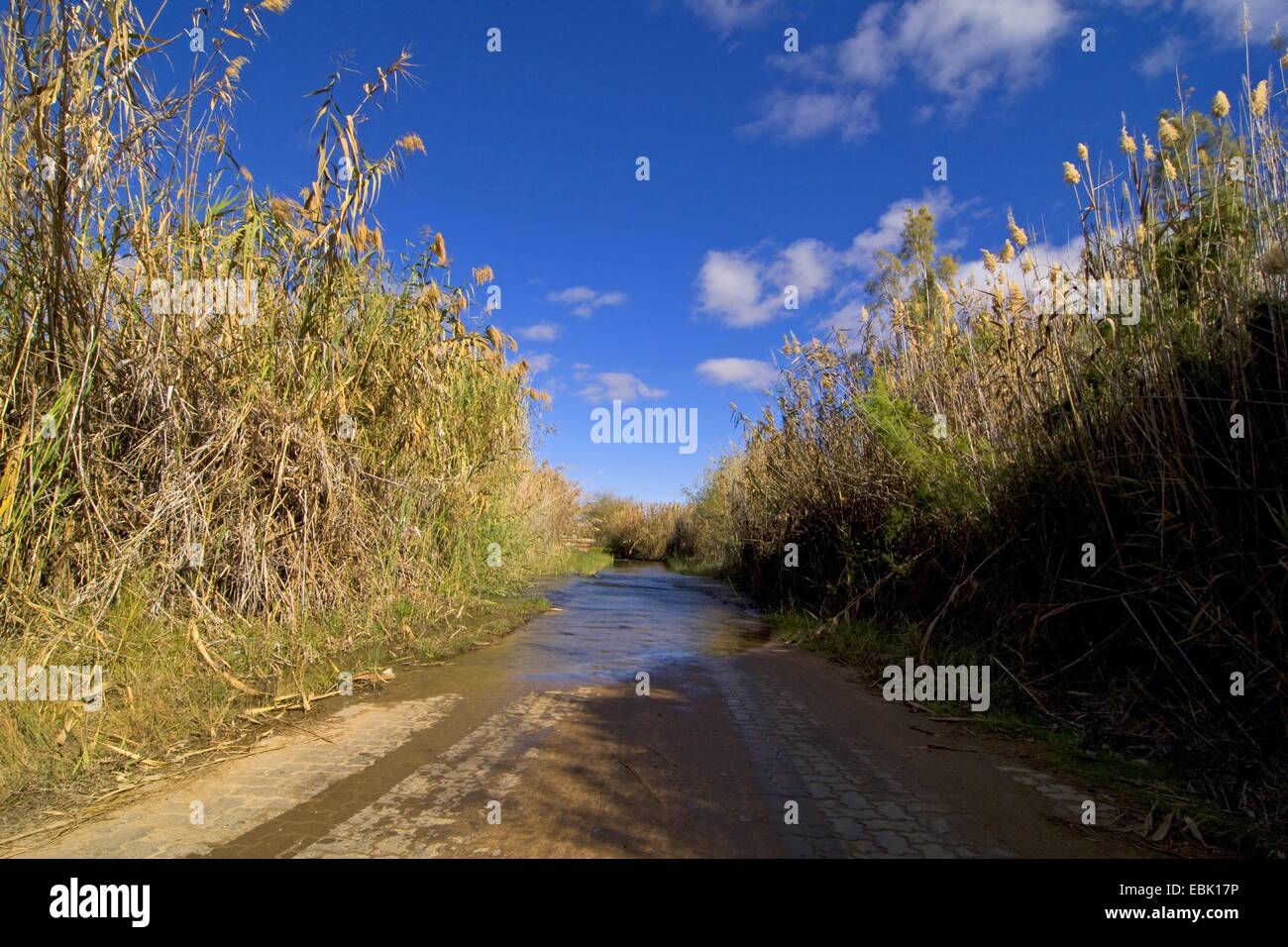 Inondé route goudronnée, Afrique du Sud, Northern Cape, Parc National d'Augrabies Falls Banque D'Images