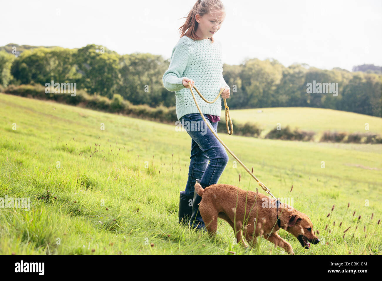 Girl walking dog Banque D'Images