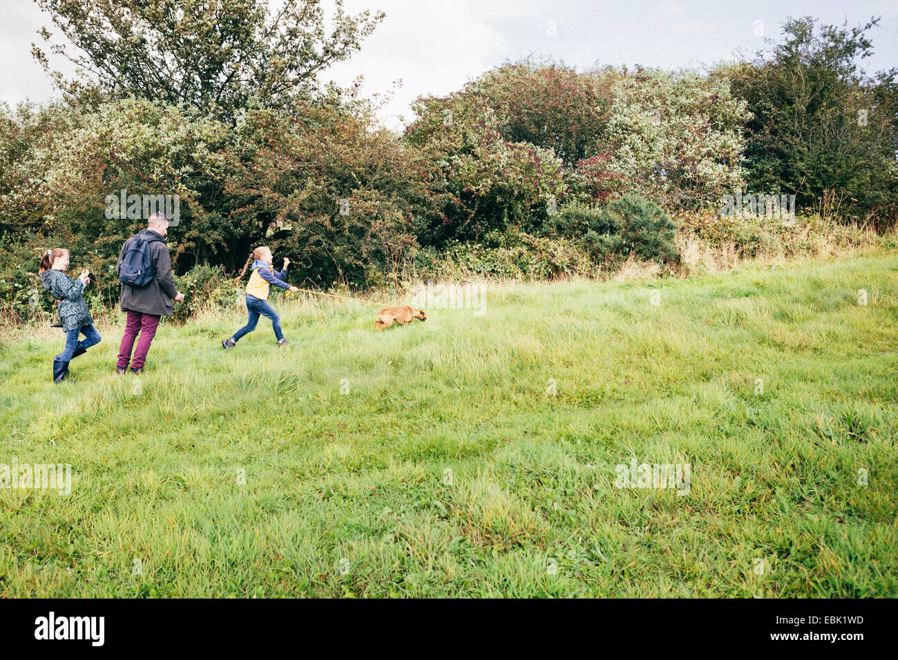 Son père et ses deux filles dog in field Banque D'Images