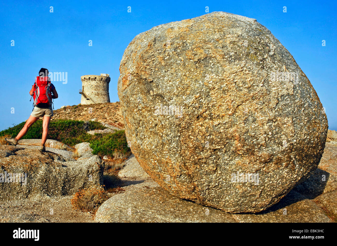 Stone et femelle wanderer en face de la tour génoise d'Omigna, France, Corse, Cargèse Banque D'Images