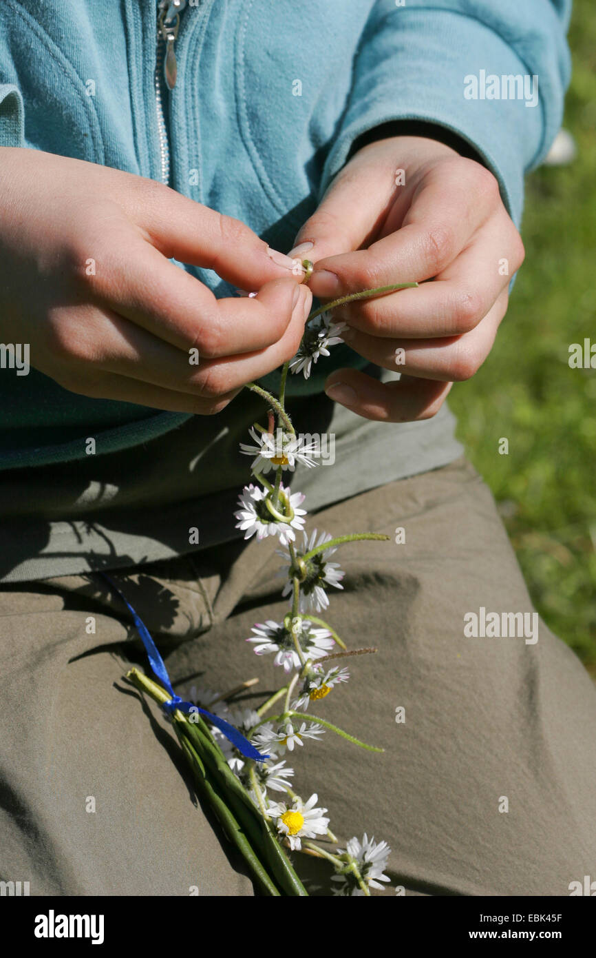 Ce faisant elle-même fille d'artisanat une ceinture de fleurs de  marguerites anglais, Allemagne Photo Stock - Alamy