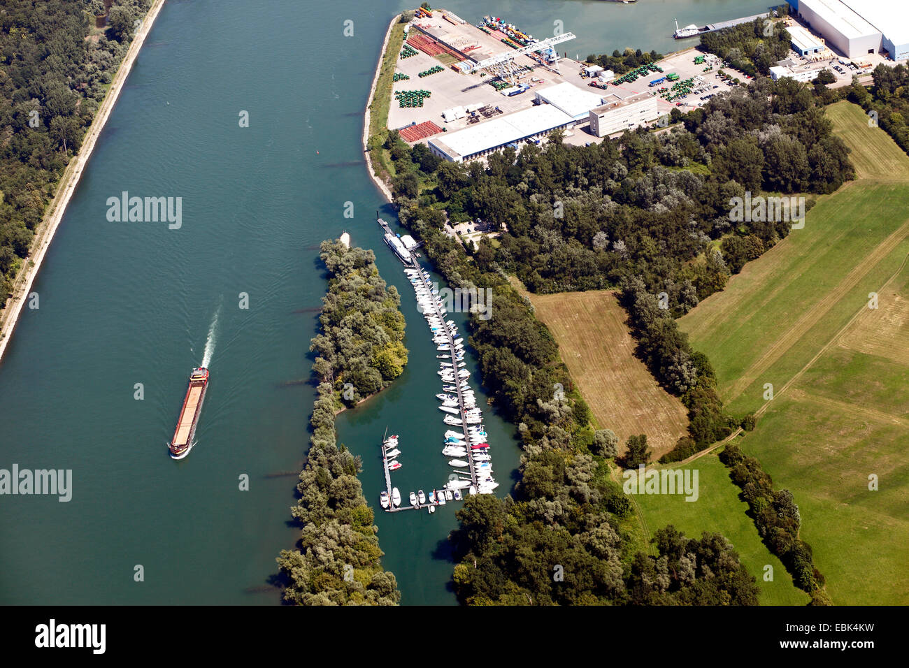 Vue aérienne de marina au Rhin, l'Allemagne, Bade-Wurtemberg, Rheinau Banque D'Images