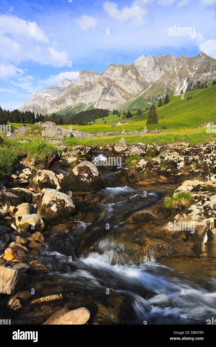 Vue sur une prairie avec un ruisseau au massif de l'Alpstein avec la plus haute montagne Saentis (2502 m), Suisse Banque D'Images