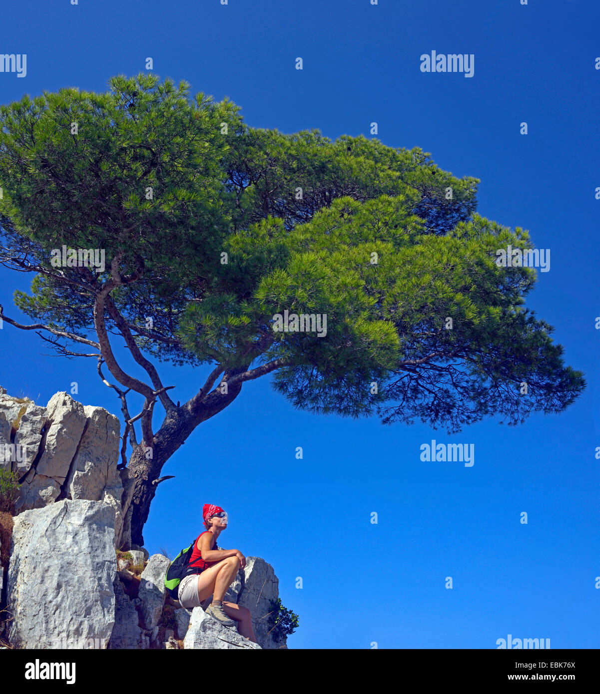 Pin (Pinus spec.), femme assise sur rocher sous un pin et profiter de la vue, la France, le Parc National des Calanques Banque D'Images