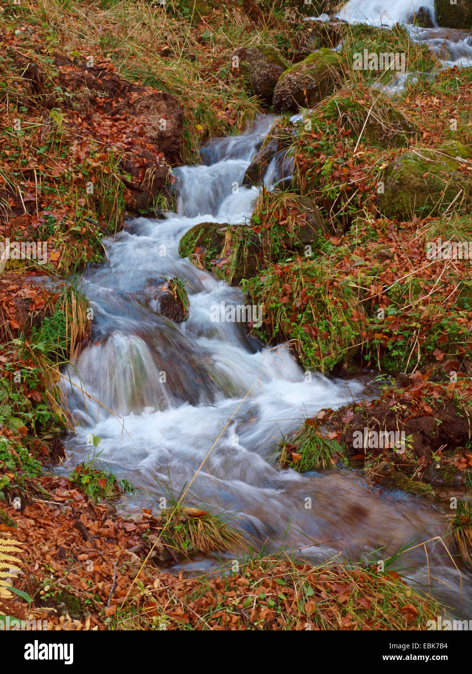 Plus de ruisseau automne Vosges, France, Alsace, Vosges Banque D'Images