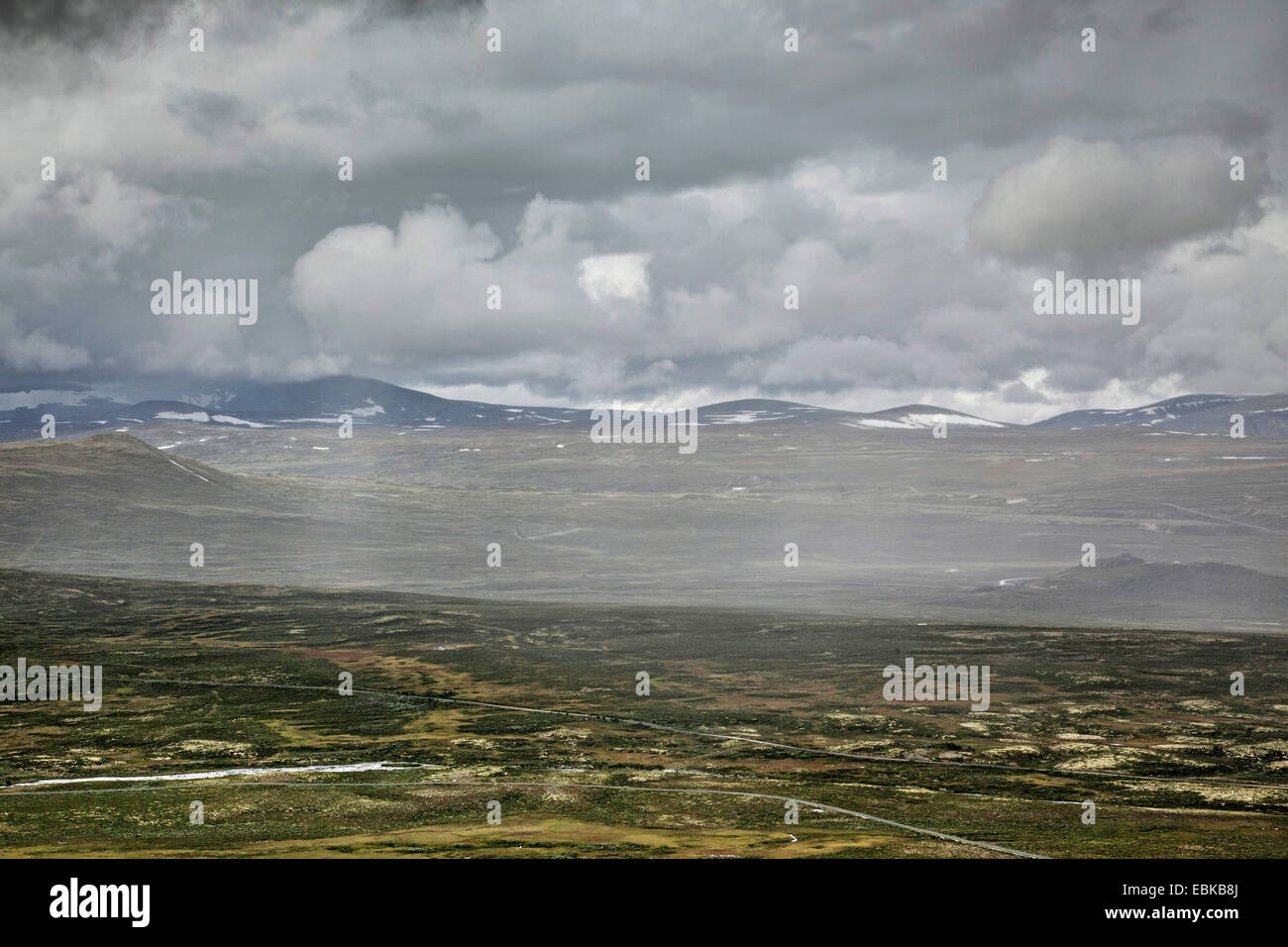 Dans la pluie, la Norvège, le paysage fjell Dovrefjell Sunndalsfjella Parc National, Kongsvoll Banque D'Images
