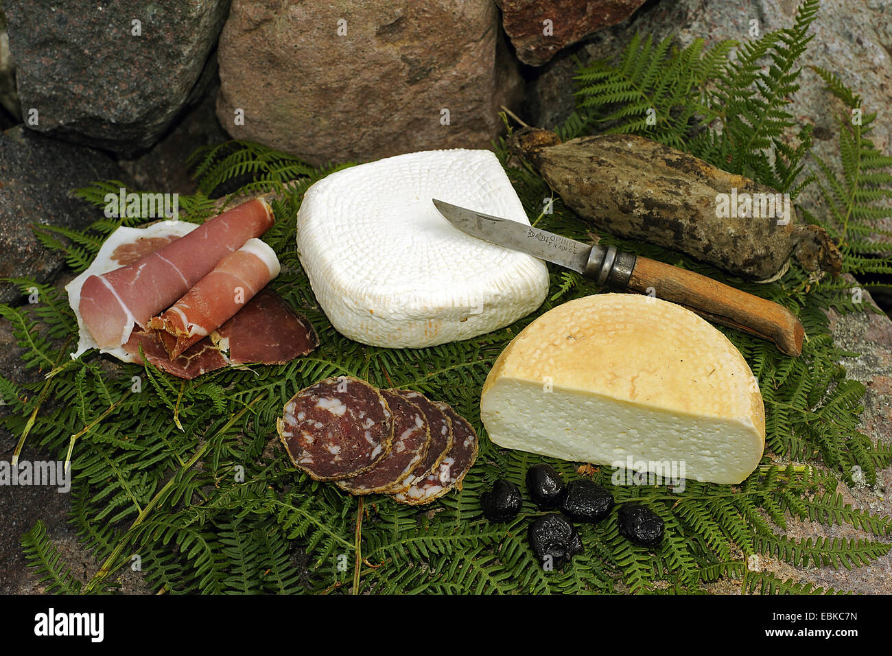 Gammon caractéristique, saucisses, fromages et fruits secs de la Corse, Corse, France Banque D'Images