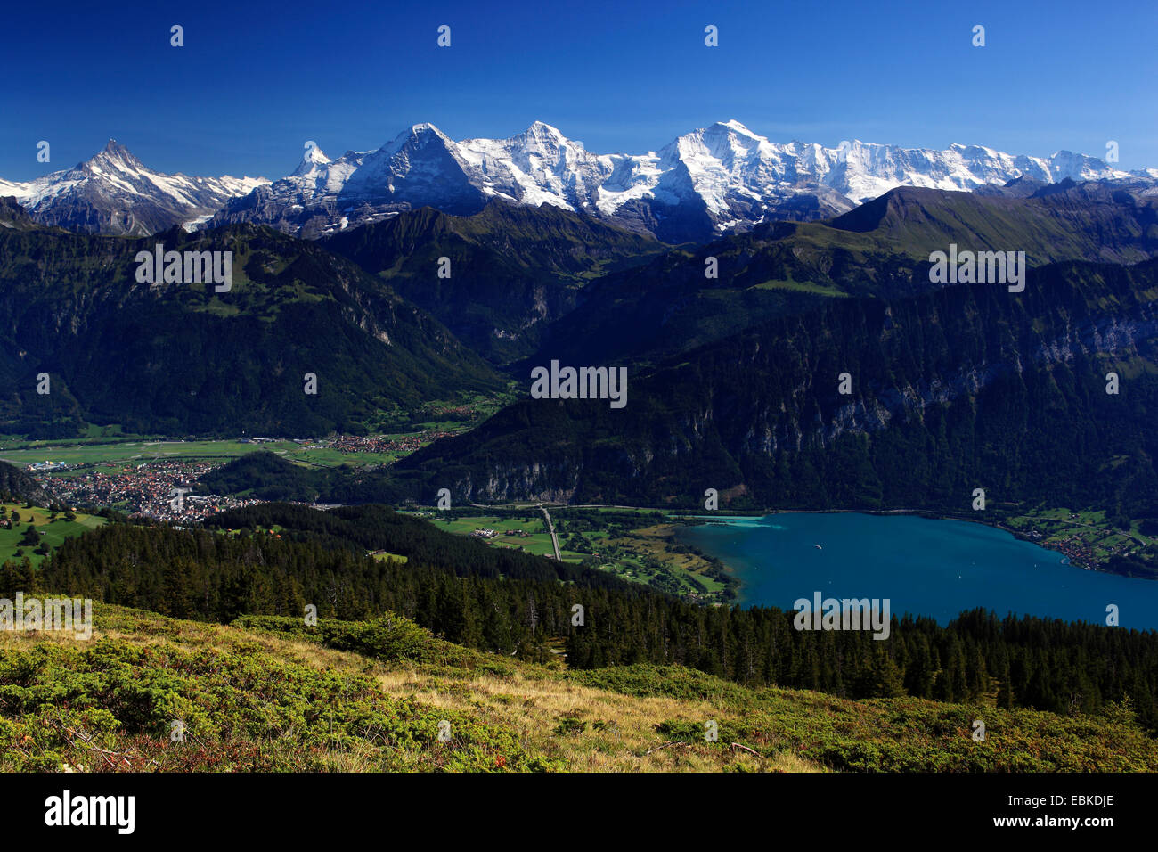 Swiss Alp, vue de Wang à Lauterbrunnen et le lac de Thoune, l'Eiger, 3974 m, Moench, 4099 m, Jungfrau, 4158m, Suisse, Oberland Bernois, Lauterbrunnen Banque D'Images