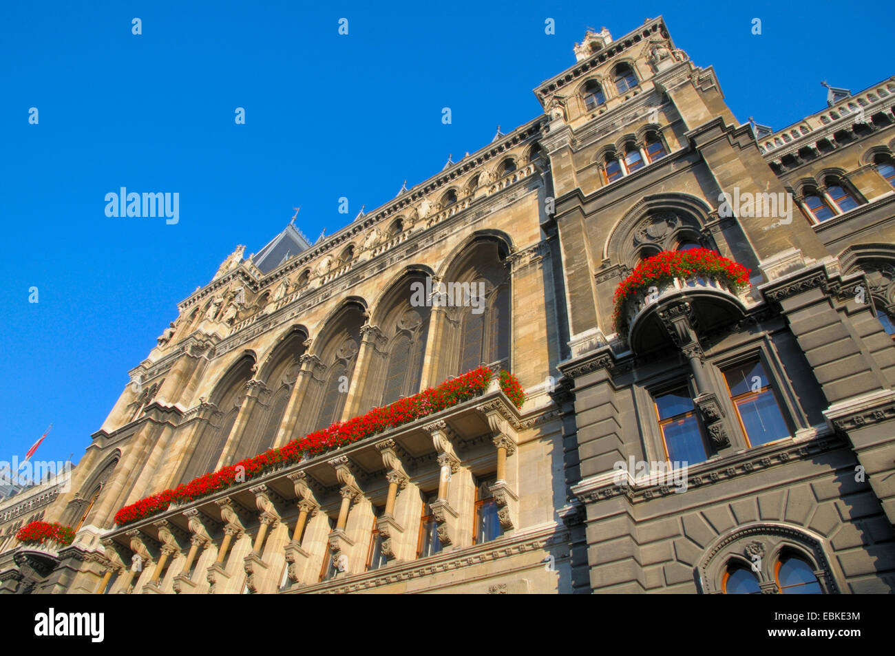 Hôtel de ville de Vienne dos Friedrich-Schmidt-Square, l'Autriche, Vienne Banque D'Images