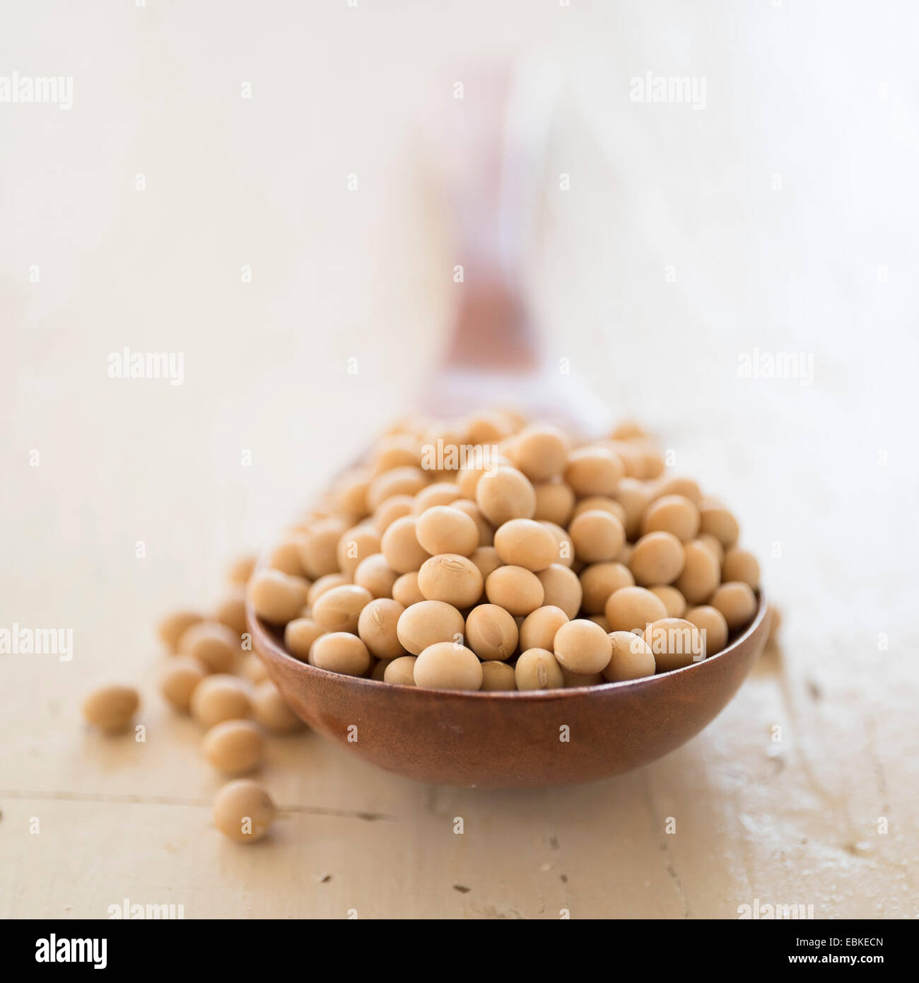 Studio shot de soja Banque D'Images