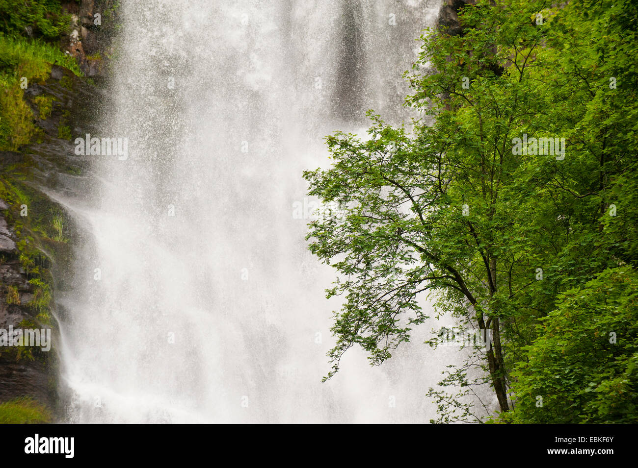 Pistyll Rhaeadr cascade, Powys, Pays de Galles. Banque D'Images