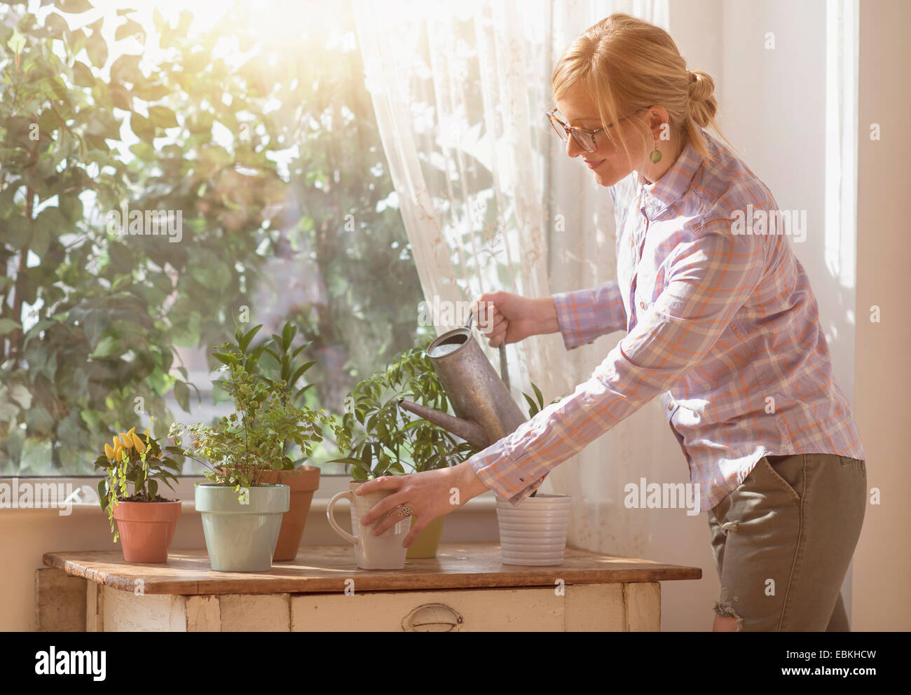 Woman watering plants in living room Banque D'Images