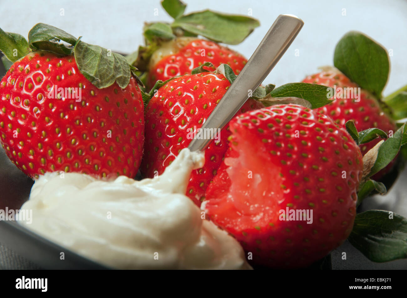 Des fraises et de la crème sur une plaque noire, une fraise avec une morsure. Banque D'Images