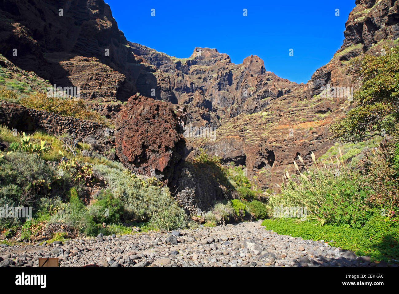 Chemin de randonnée de Masco vers l'océan si Barranco , Iles Canaries, Tenerife, Masca Banque D'Images