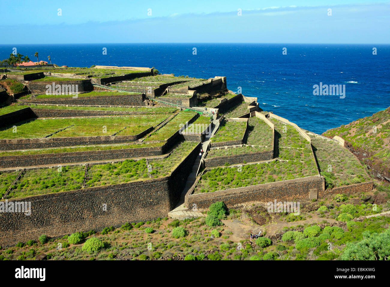 Terrasses incultes, Iles Canaries, Tenerife, San Diego, Puerto De La Cruz Banque D'Images