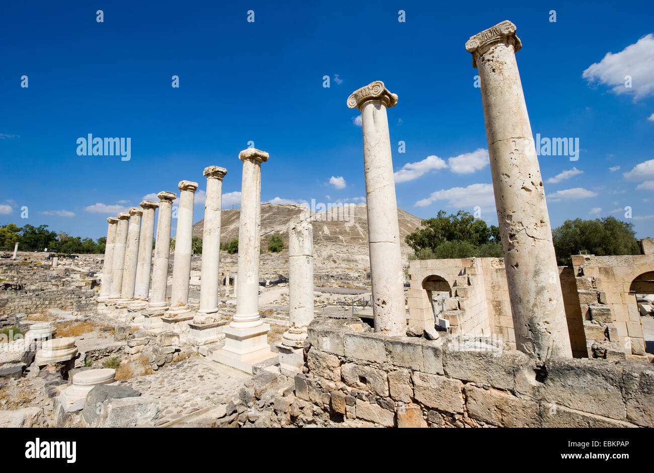 Une rangée de piliers entre les ruines de la période romaine à Beit She'An en Galilée en Israël Banque D'Images
