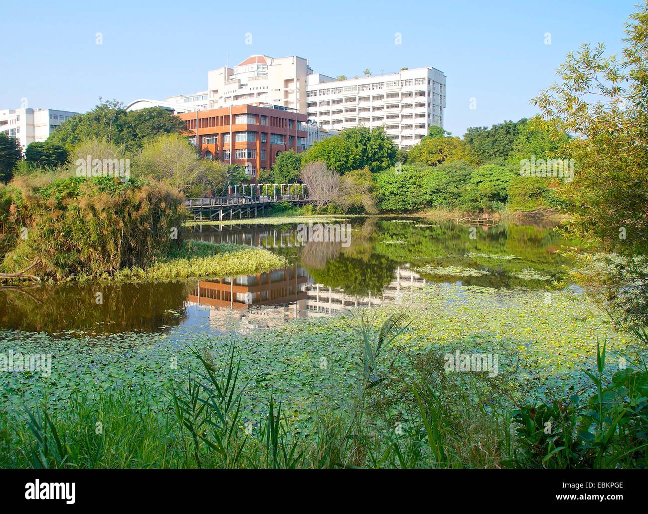 La zone humide marais près de ville du sud de Taïwan Banque D'Images