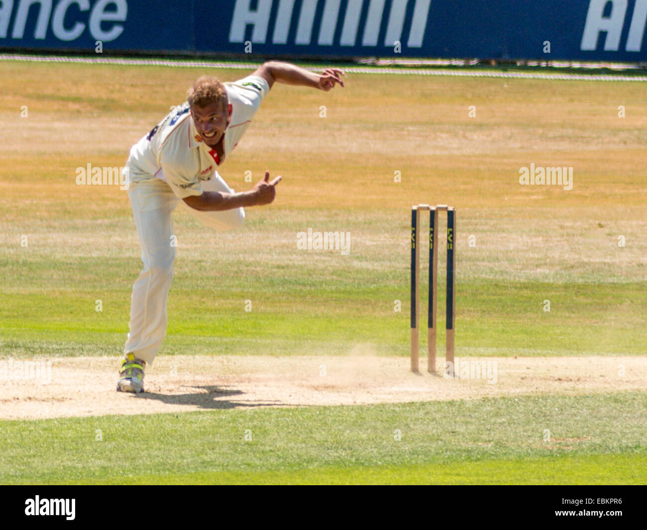 Ryan 10 Doeschate, boules à l'Essex County Championship Division Two 2013 réunion. Banque D'Images