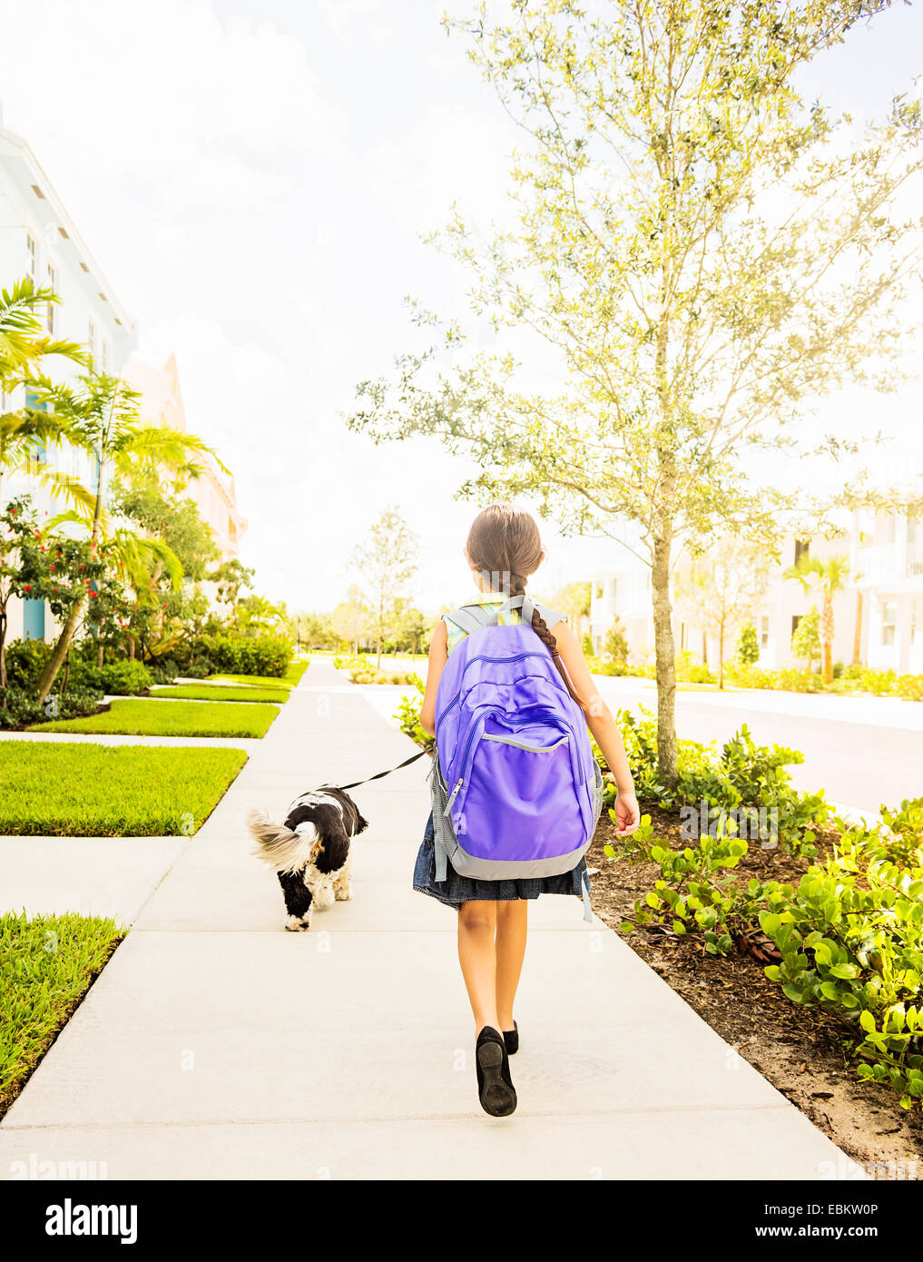 USA, Floride, Jupiter, Girl (6-7) promener son chien Banque D'Images