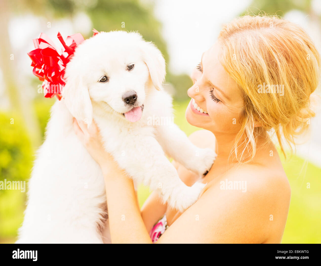 USA, Floride, Jupiter, young woman holding chiot blanc avec ribbon bow Banque D'Images