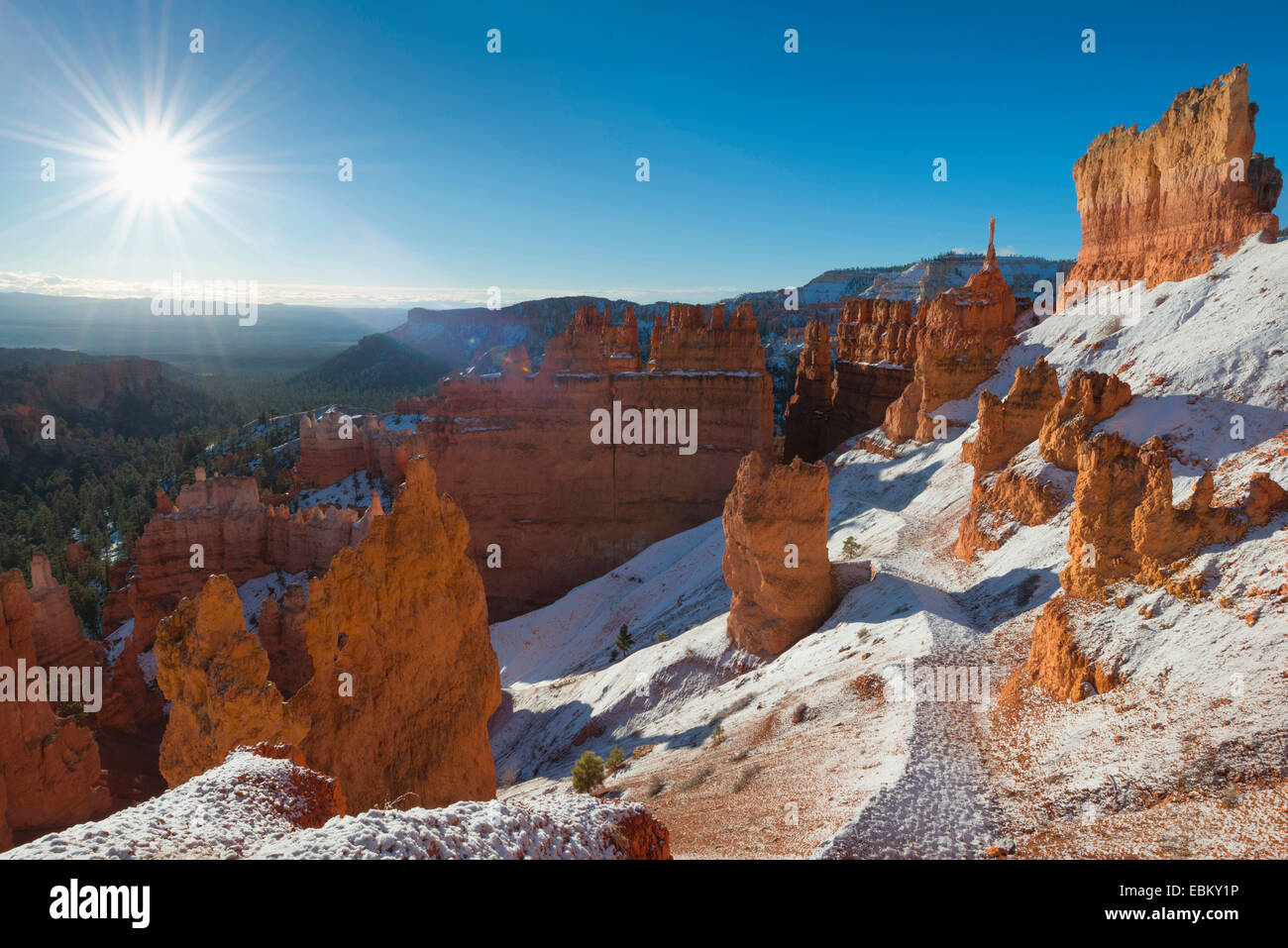 USA, Utah, Bryce Canyon, canyon pinacles à jour ensoleillé Banque D'Images