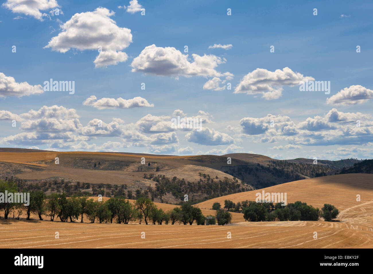 USA, New York, paysage vallonné avec ciel nuageux Banque D'Images