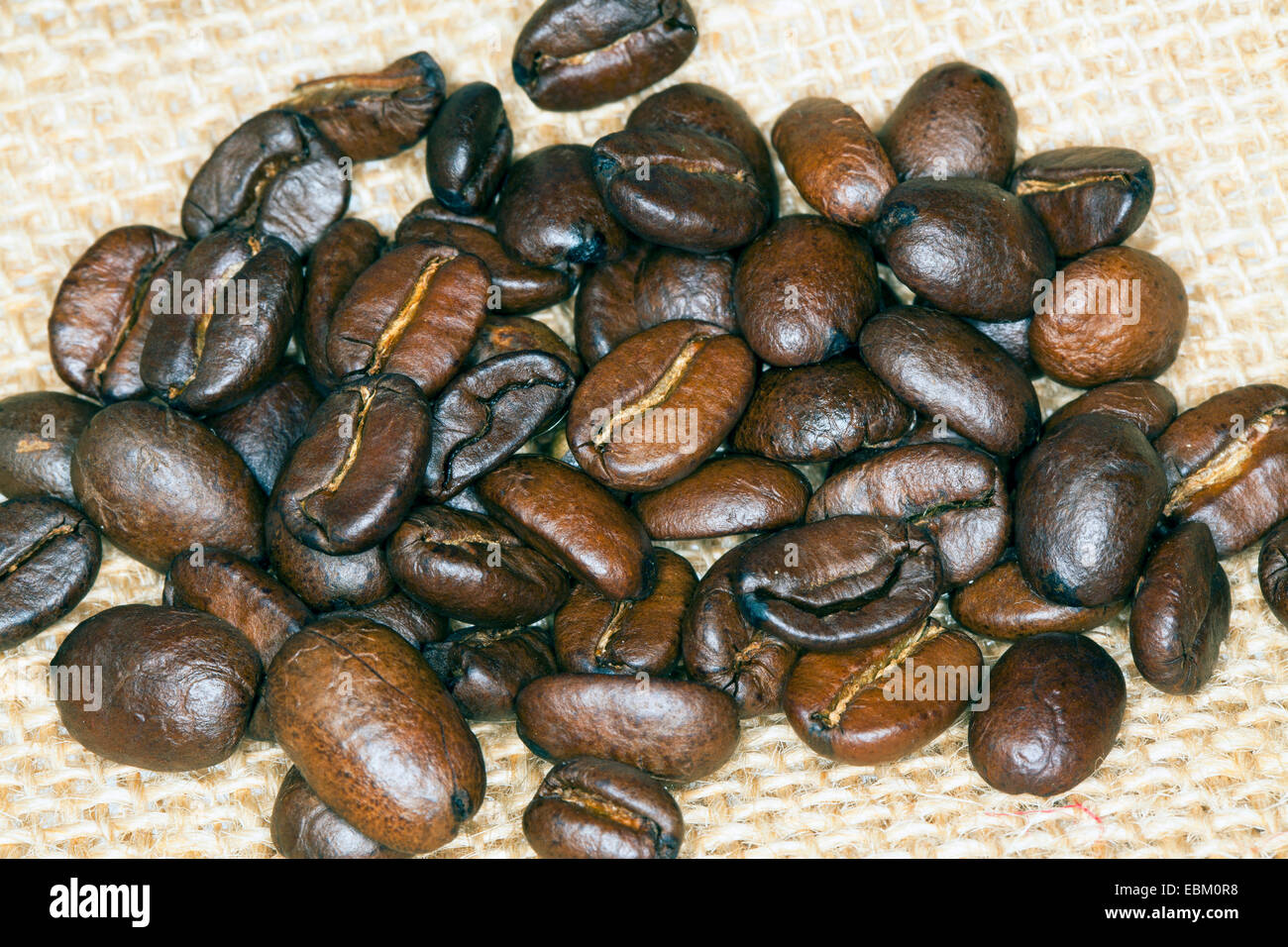 Les grains de café torréfié Banque D'Images