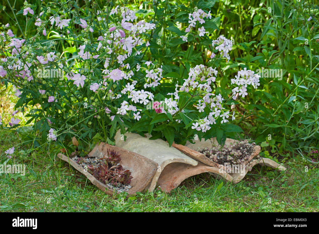 Vieilles tuiles de toiture en jardin servir avec leurs empreintes d'abri pour animaux , Allemagne Banque D'Images