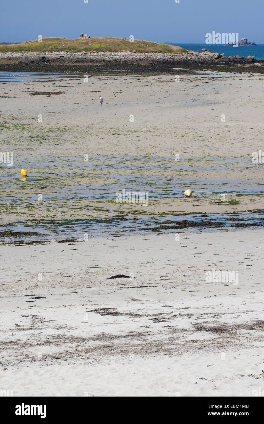Segment de plage à marée basse, France, Bretagne, Océan Atlantique Banque D'Images