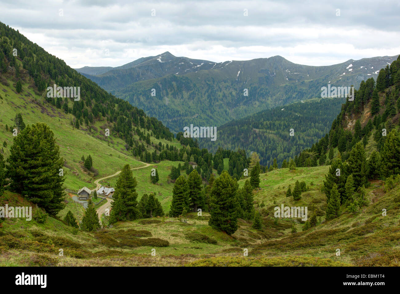 Paysages de montagne, Rodresnock en arrière-plan, l'Autriche, Roma, le Parc National de Nockberge Banque D'Images