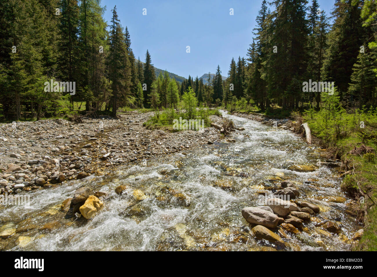 Mountain Creek, Loebenbach, Autriche, Roma, le Parc National de Nockberge Banque D'Images