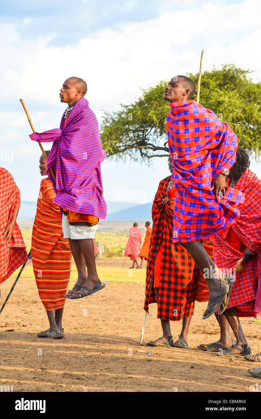 Dancing Maasai Mara au Kenya Banque D'Images