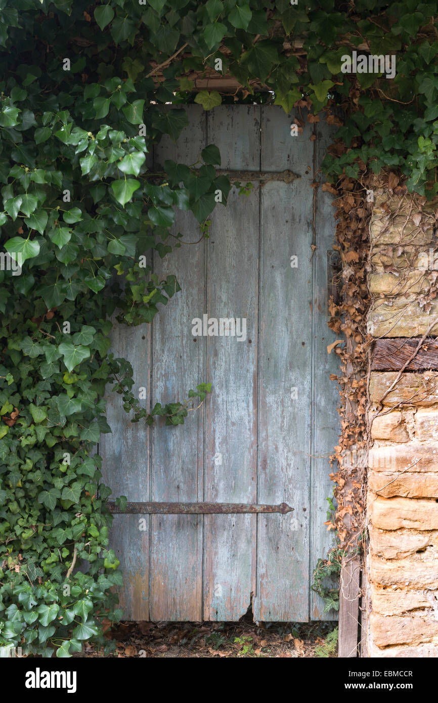 Une vieille porte en bois dans un mur en pierre de Cotswold est partiellement recouvert de lierre, Hedra Helix. Banque D'Images