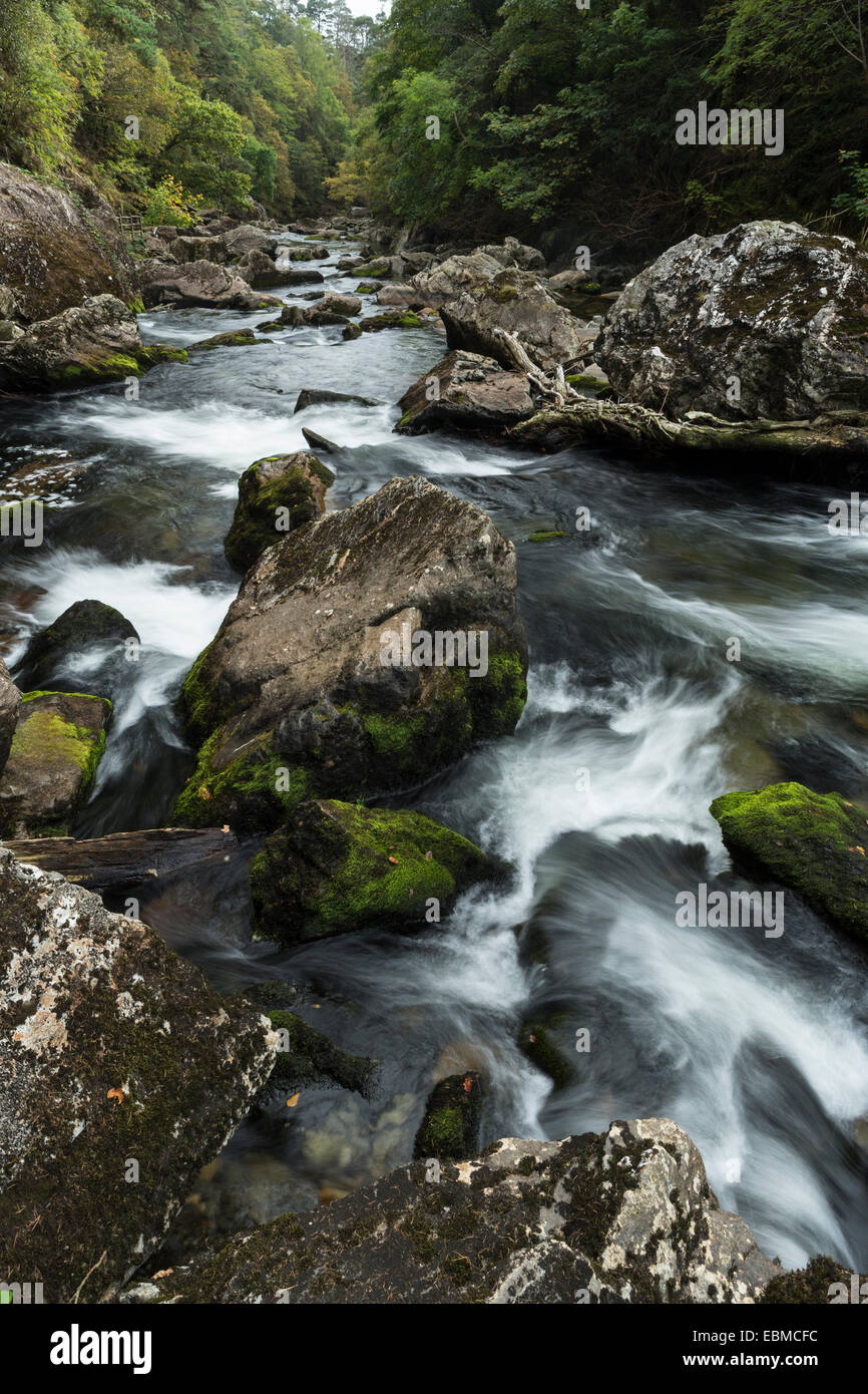 La rivière Glaslyn flux entre les arbres et les rochers de l'Aberglaslyn Pass in Snowdonia, Gwynedd, au nord du Pays de Galles Banque D'Images