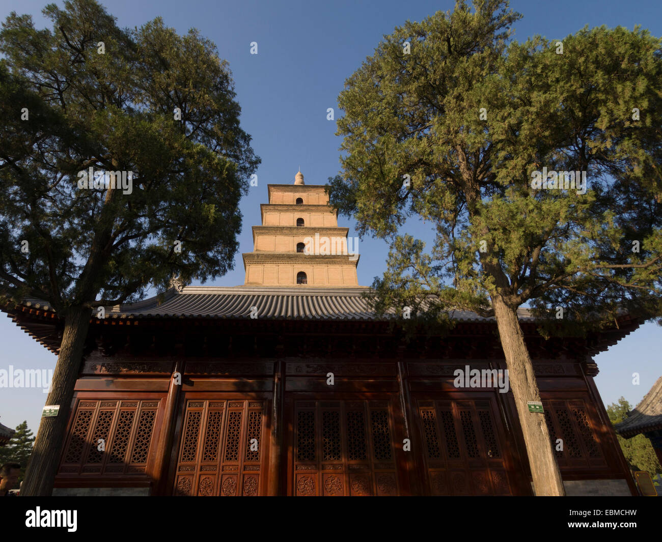 La Grande Pagode de l'Oie Sauvage et Da Ci'en temple bouddhiste à Xian, Chine Banque D'Images
