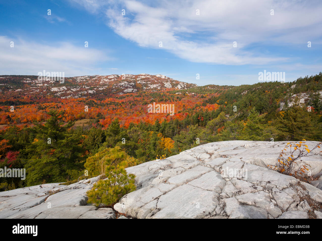 Au sommet des montagnes de quartzite blanc couleurs d'automne dans le Sud La Cloche, le Parc provincial Killarney, l'Ontario, Canada. Banque D'Images