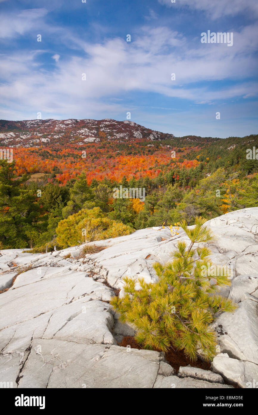 Au sommet des montagnes de quartzite blanc couleurs d'automne dans le Sud La Cloche, le Parc provincial Killarney, l'Ontario, Canada. Banque D'Images