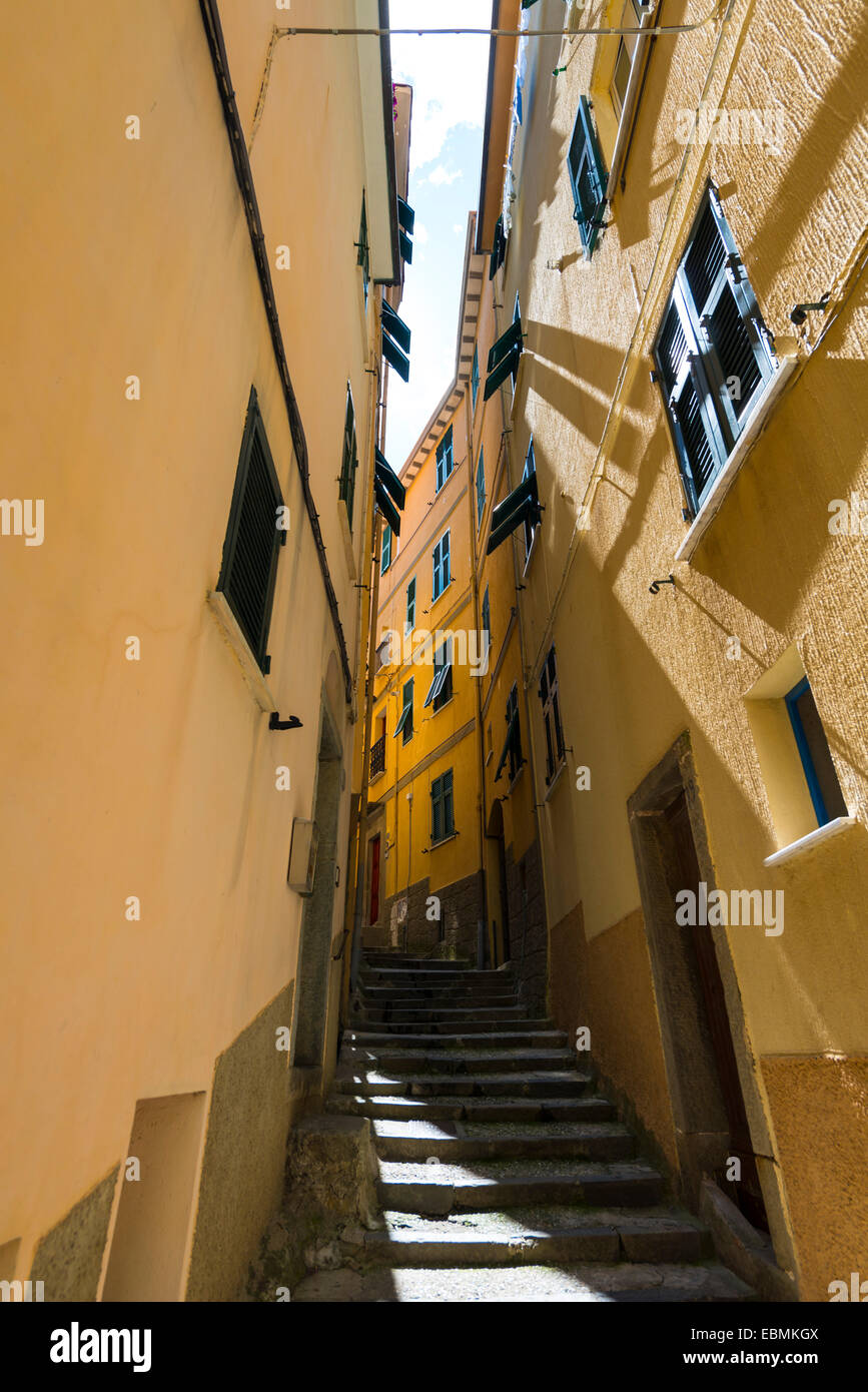 Ruelle étroite entre les maisons jaunes, Manarola, Cinque Terre, La Spezia, Cinque Terre, ligurie, italie Banque D'Images