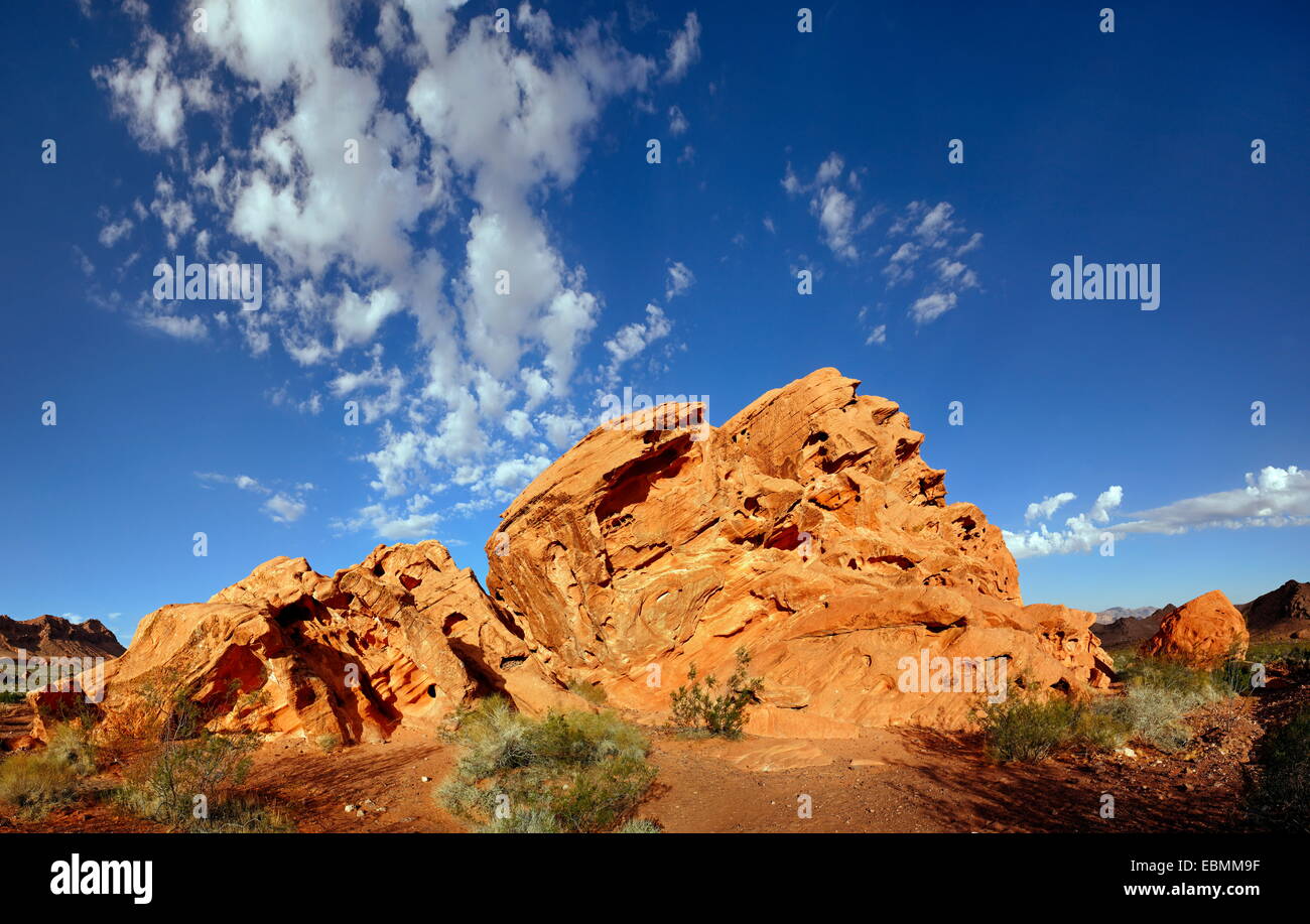 Formation de grès rouge avec bleu ciel nuageux dans la lumière du matin, sur le North Shore Road, Vallée de Feu, Nevada, United States Banque D'Images