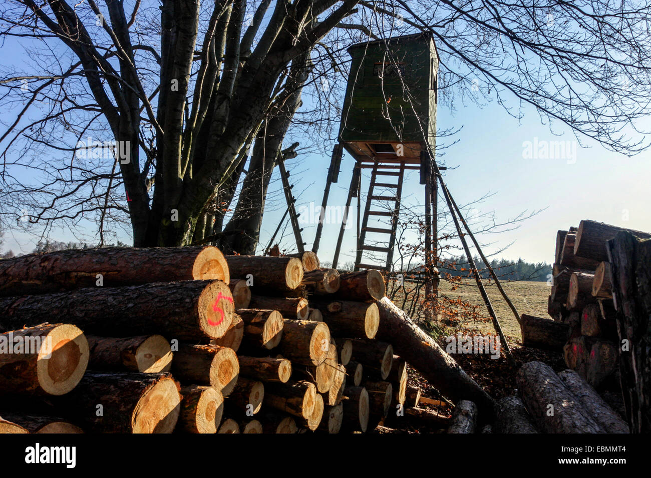 Stand aveugle de chasse en bois, tour de guet de poste République tchèque tour en bois à la lisière de la forêt Banque D'Images