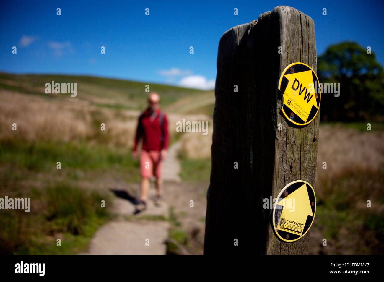 Dane sur Waymarker Valley Way, Cheshire, Angleterre Banque D'Images