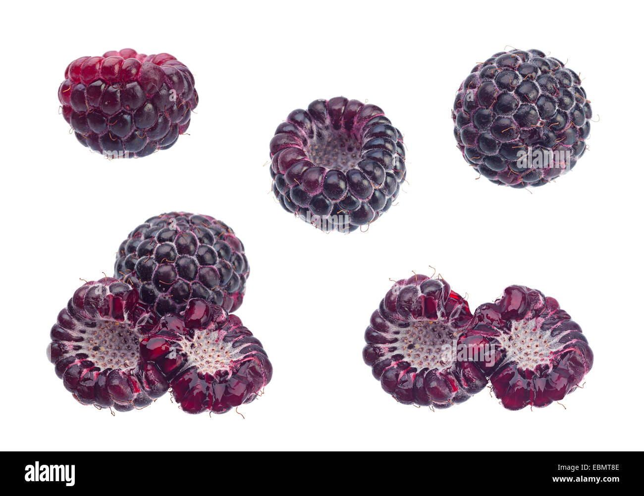 Framboises noires Cumberland set isolated on white Banque D'Images