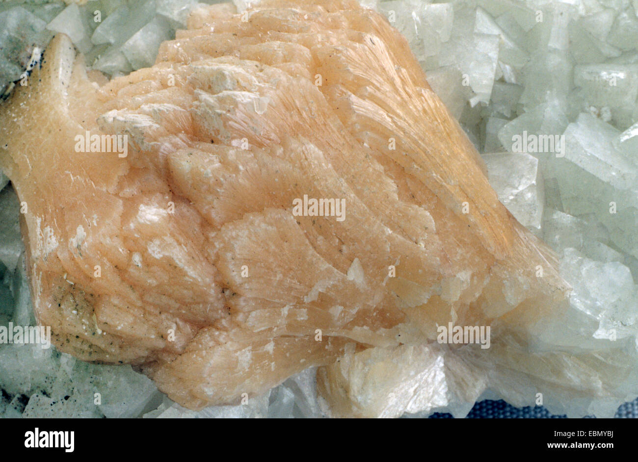 Apophyllite, Brésil, Rio Grande Banque D'Images