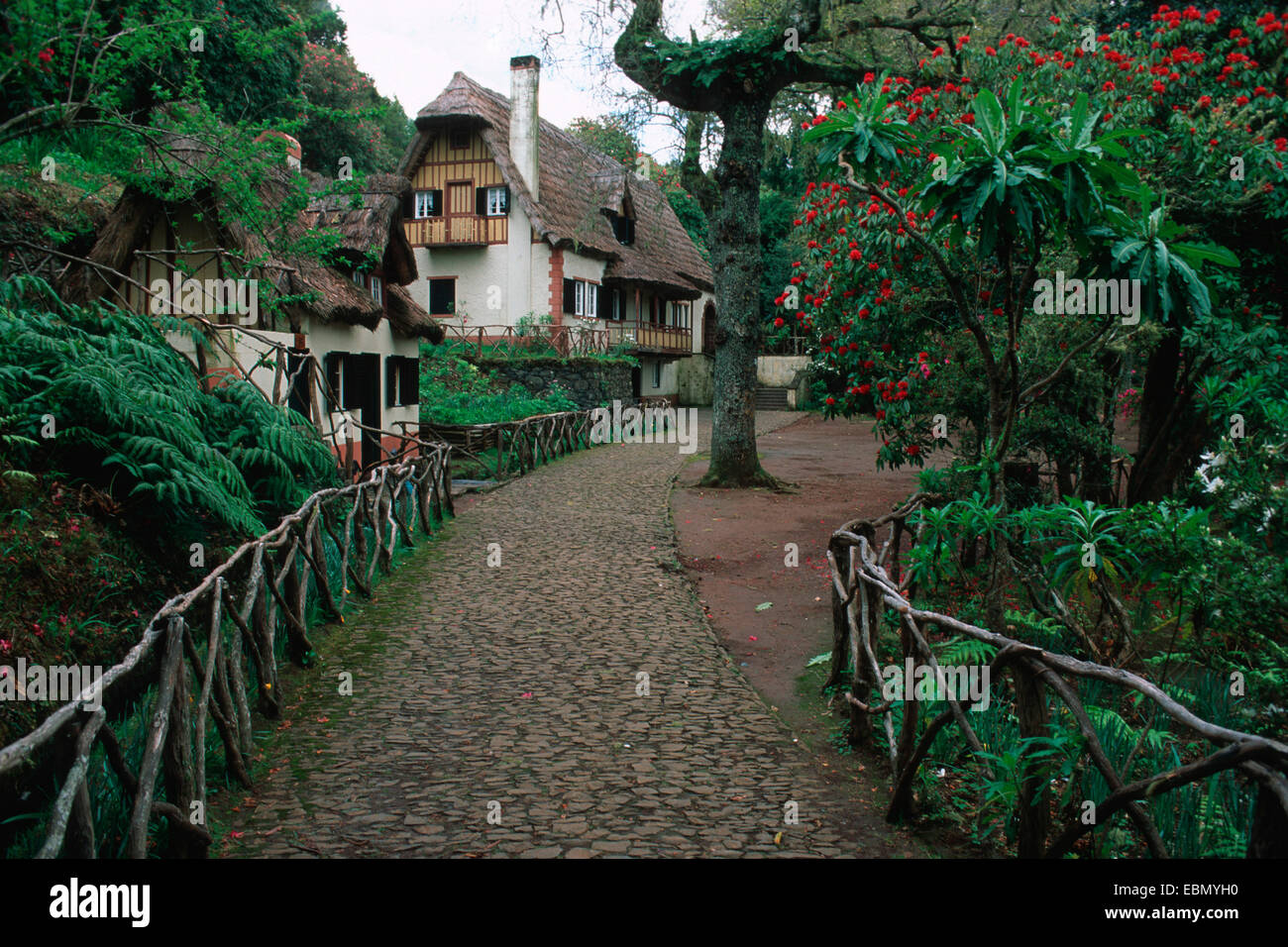 Maison traditionnelle avec toit de chaume, de Madère Banque D'Images