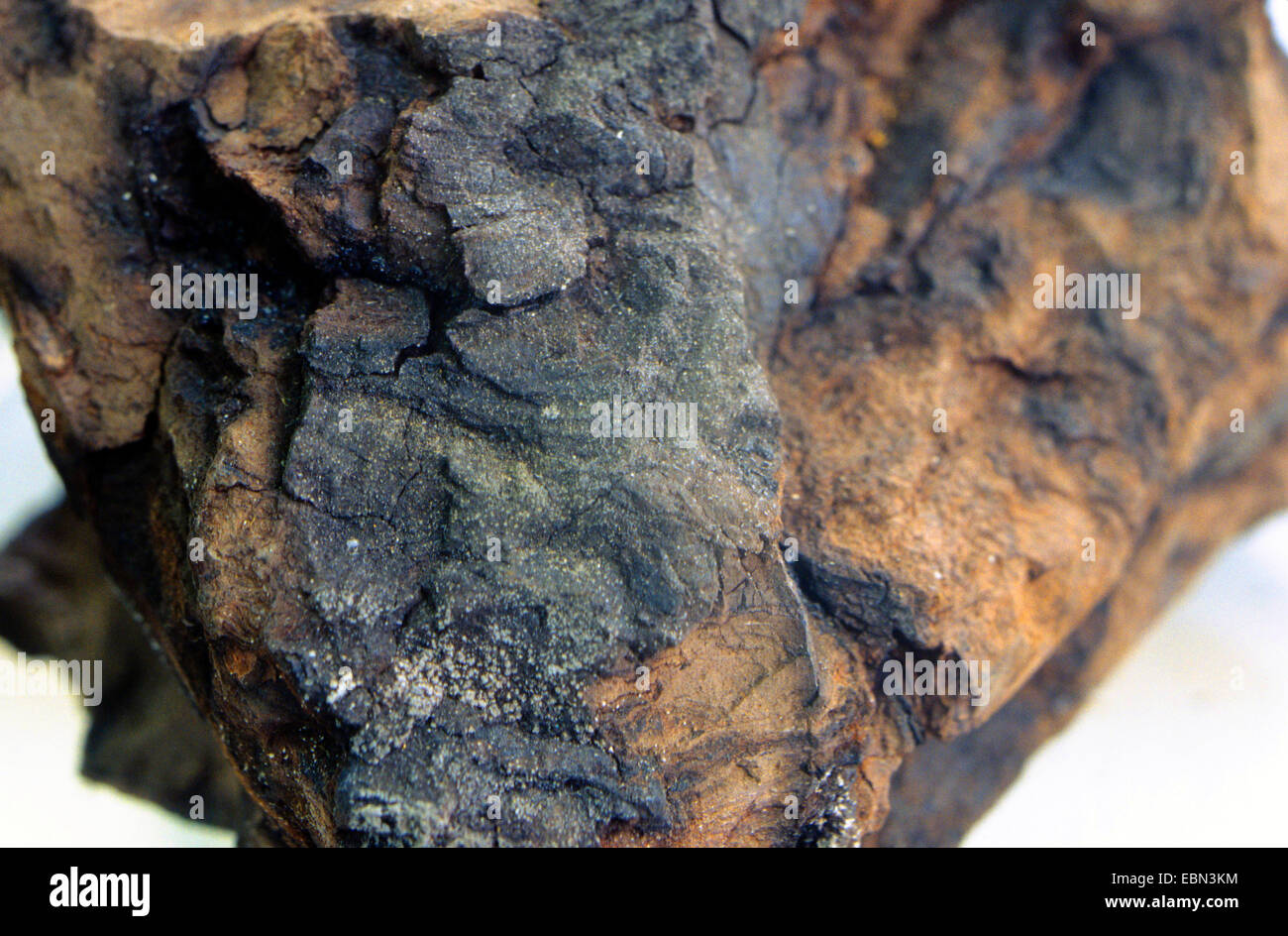 charbon brun Banque D'Images