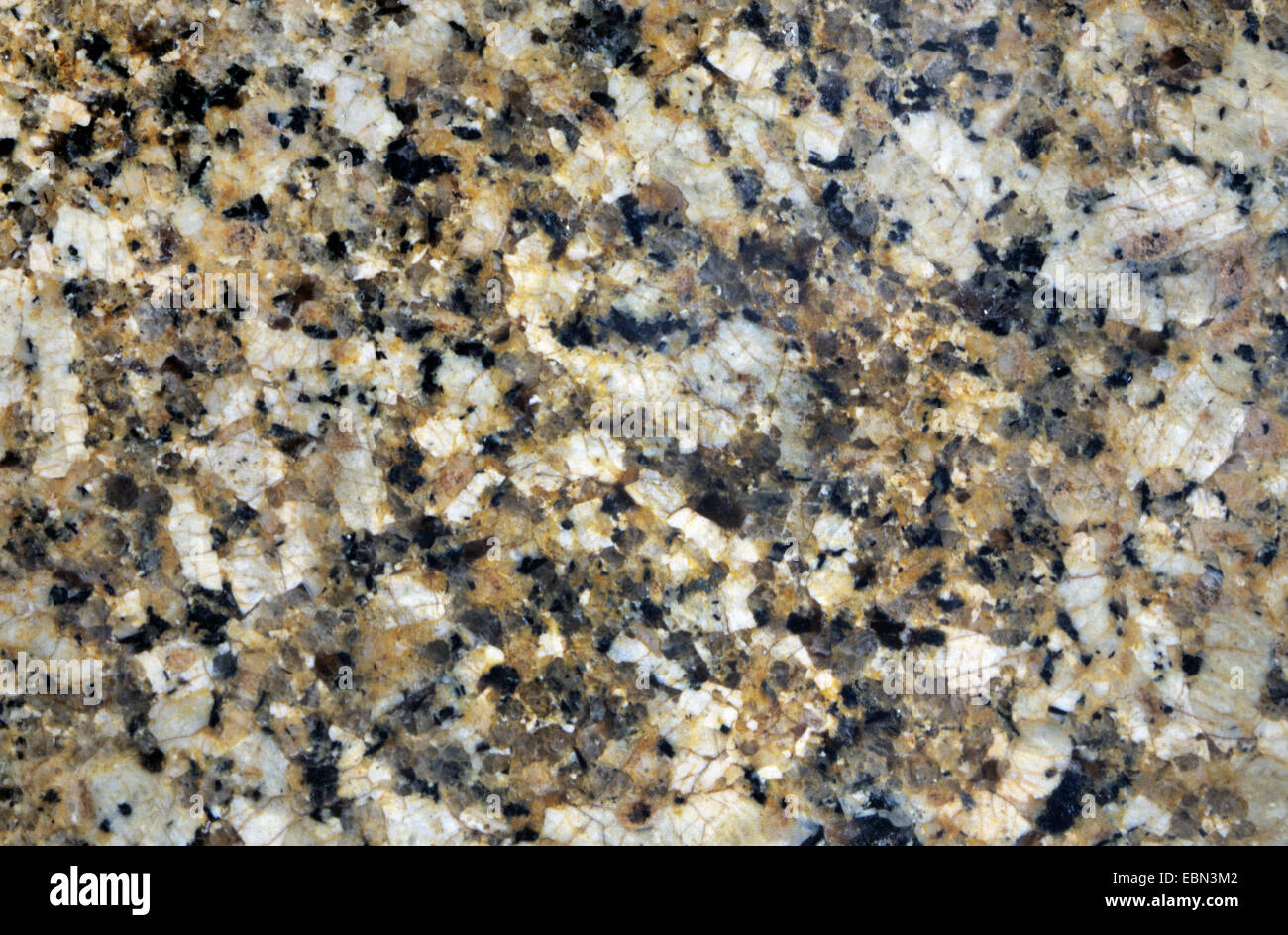 Granite à deux micas de montagnes Fichtel, Allemagne Banque D'Images