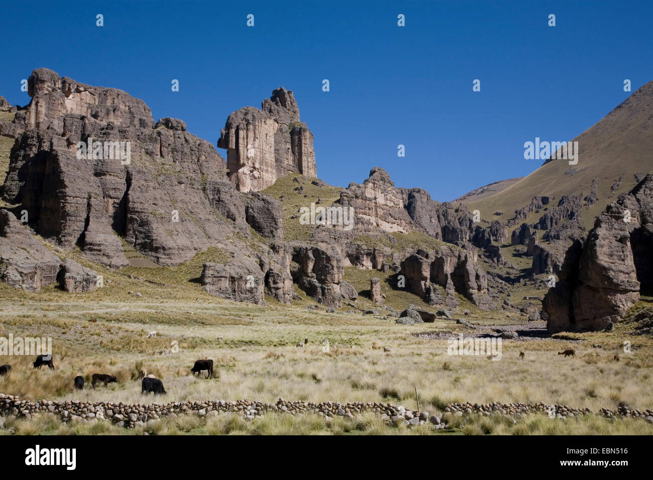 Paysage Canyon près de Juli et Tacna, Pérou, Julianehab Banque D'Images