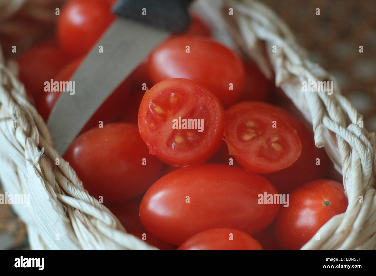 Cherry tomate (Lycopersicon esculentum var. cerasiforme) Tomates Cerise, couché dans un panier avec un couteau de cuisine Banque D'Images