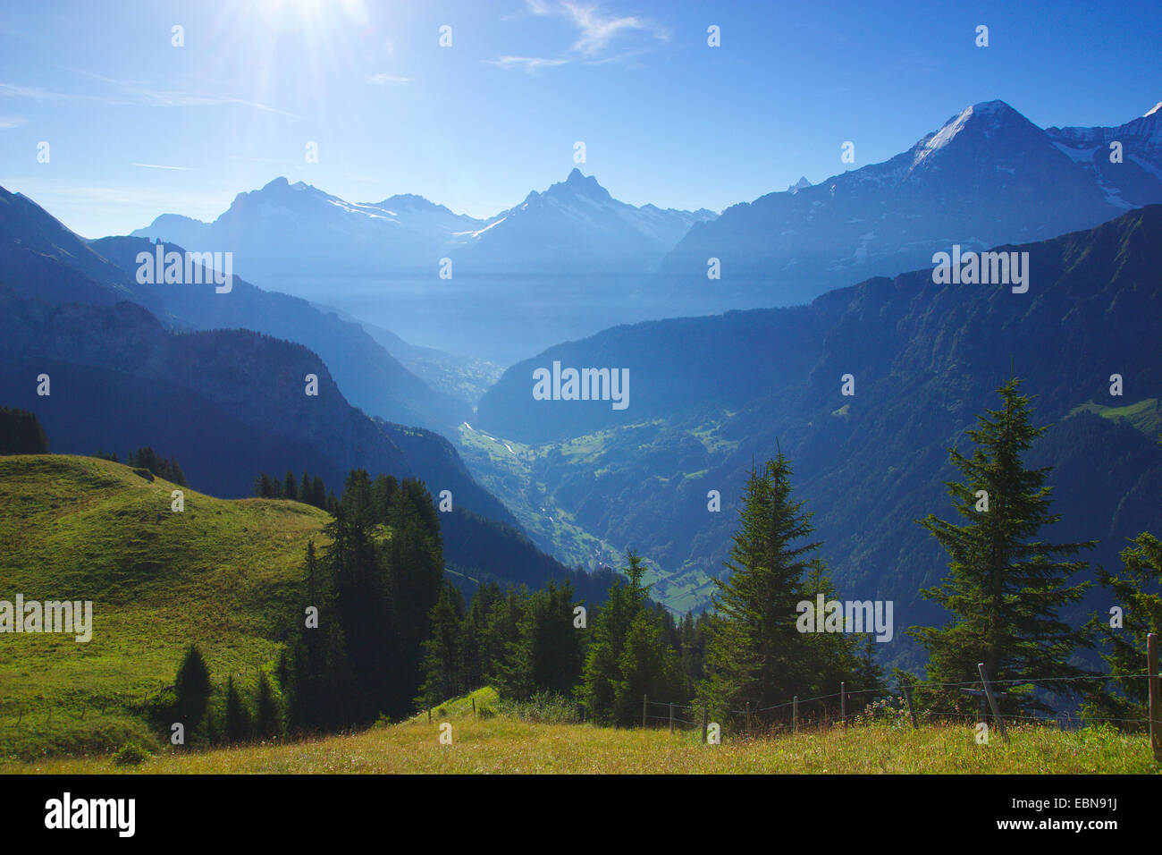 Vue depuis Schynigen Platte à Wetterhorn, fille, l'Eiger et la vallée de Grindelwald, Suisse, Oberland Bernois Banque D'Images