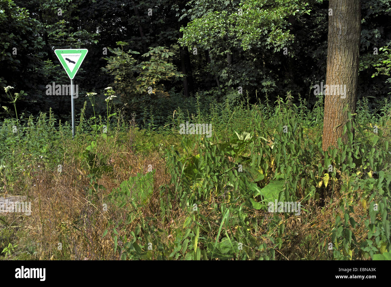 Protection du paysage signe en lisière de forêt, l'Allemagne, Bremen Banque D'Images